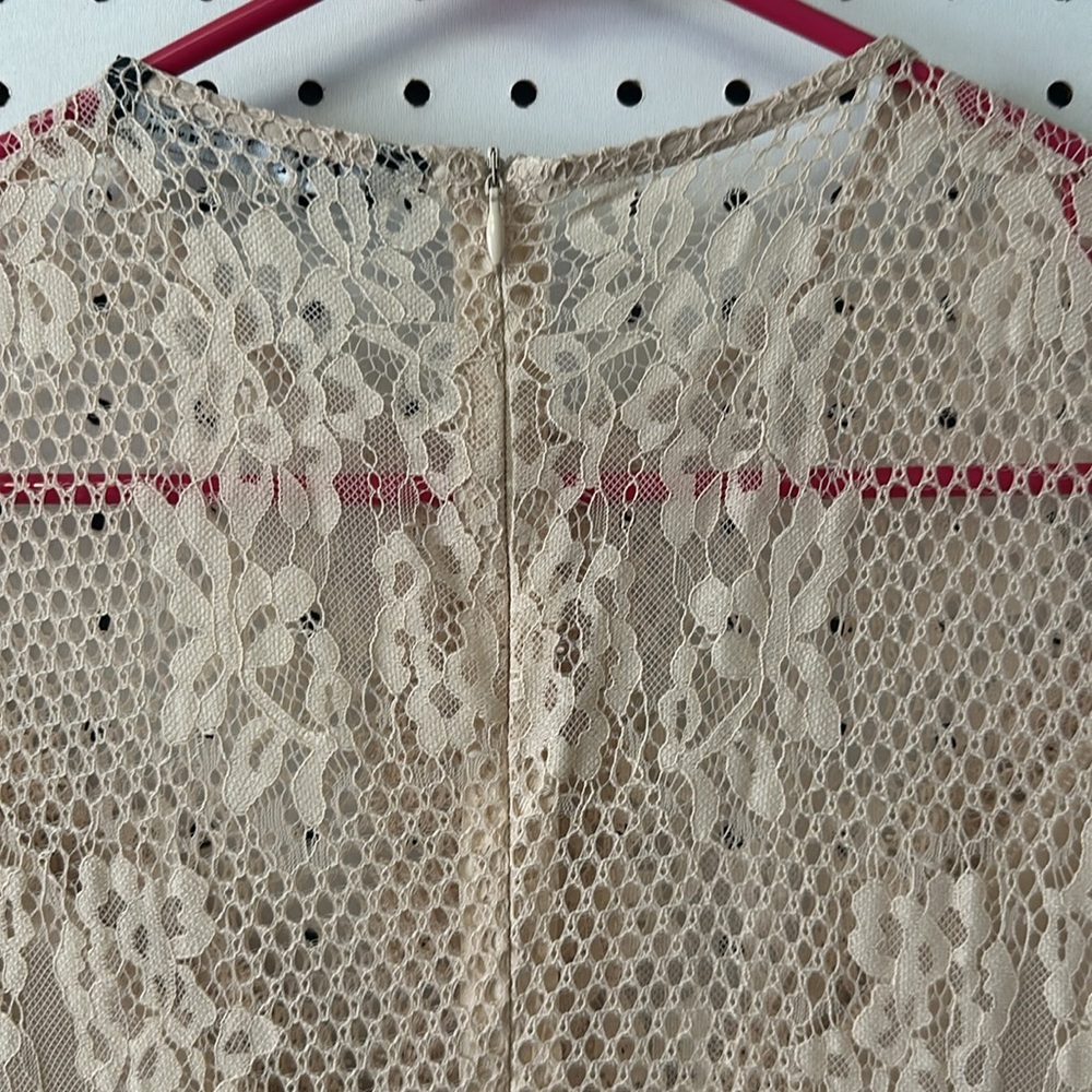 Zara Pleated Lace Midi in Blush - Picture 7 of 7